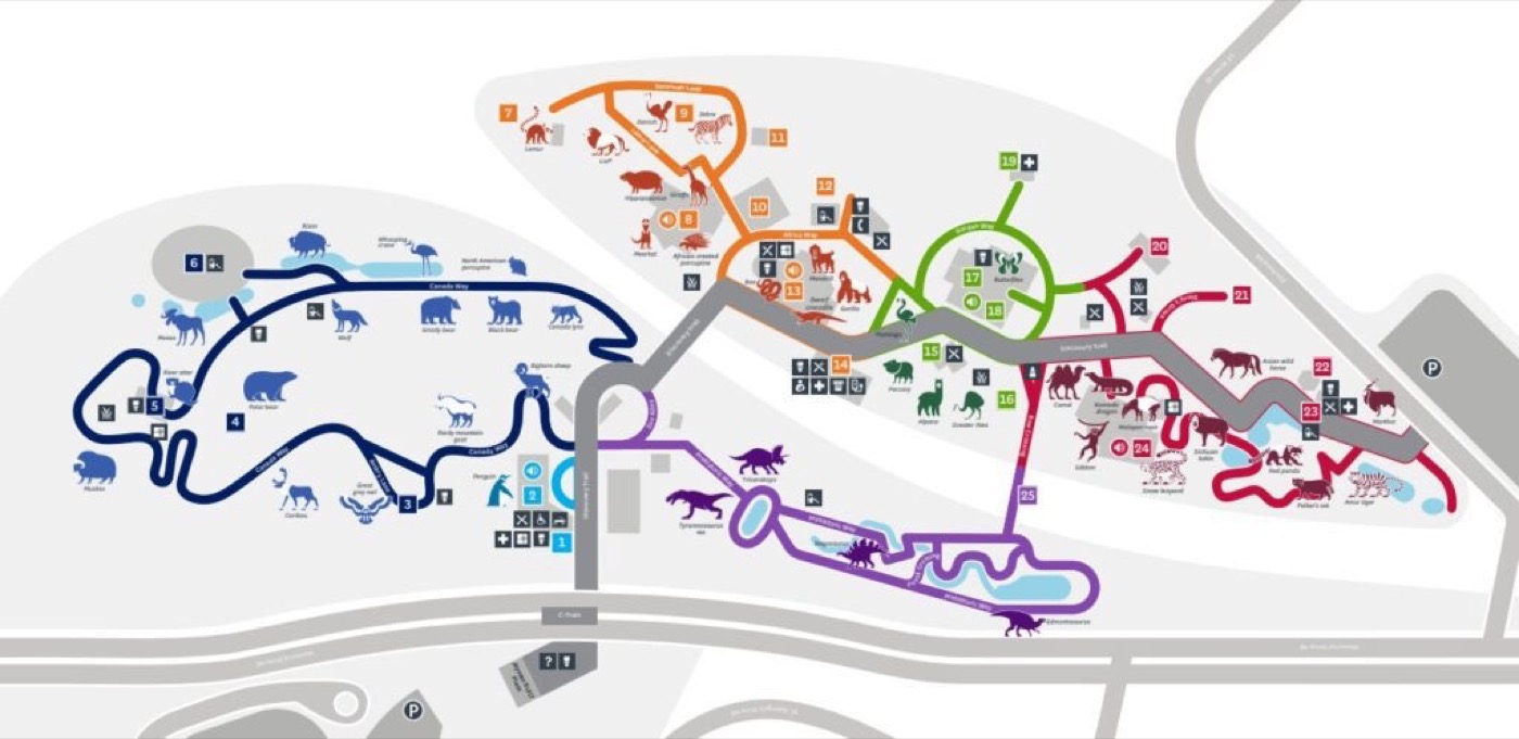 Visitor map preview