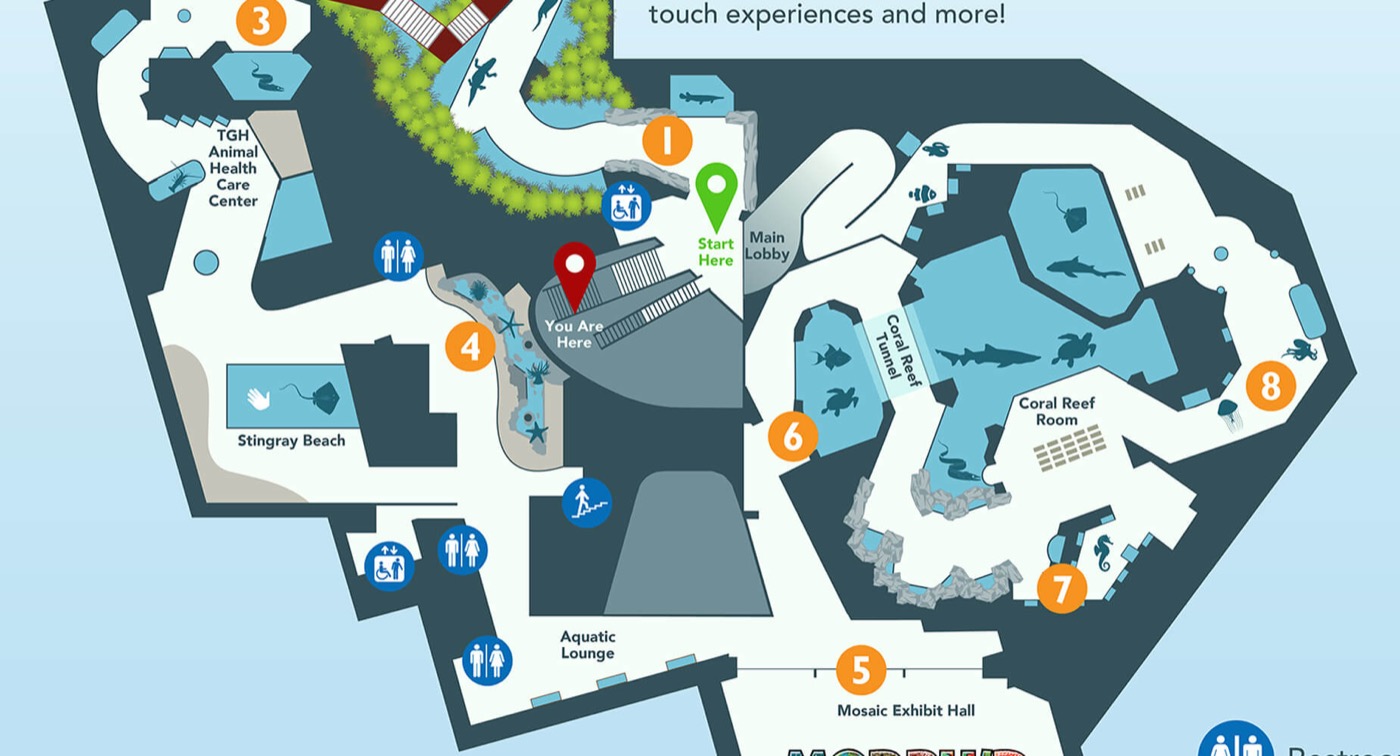 Visitor map preview