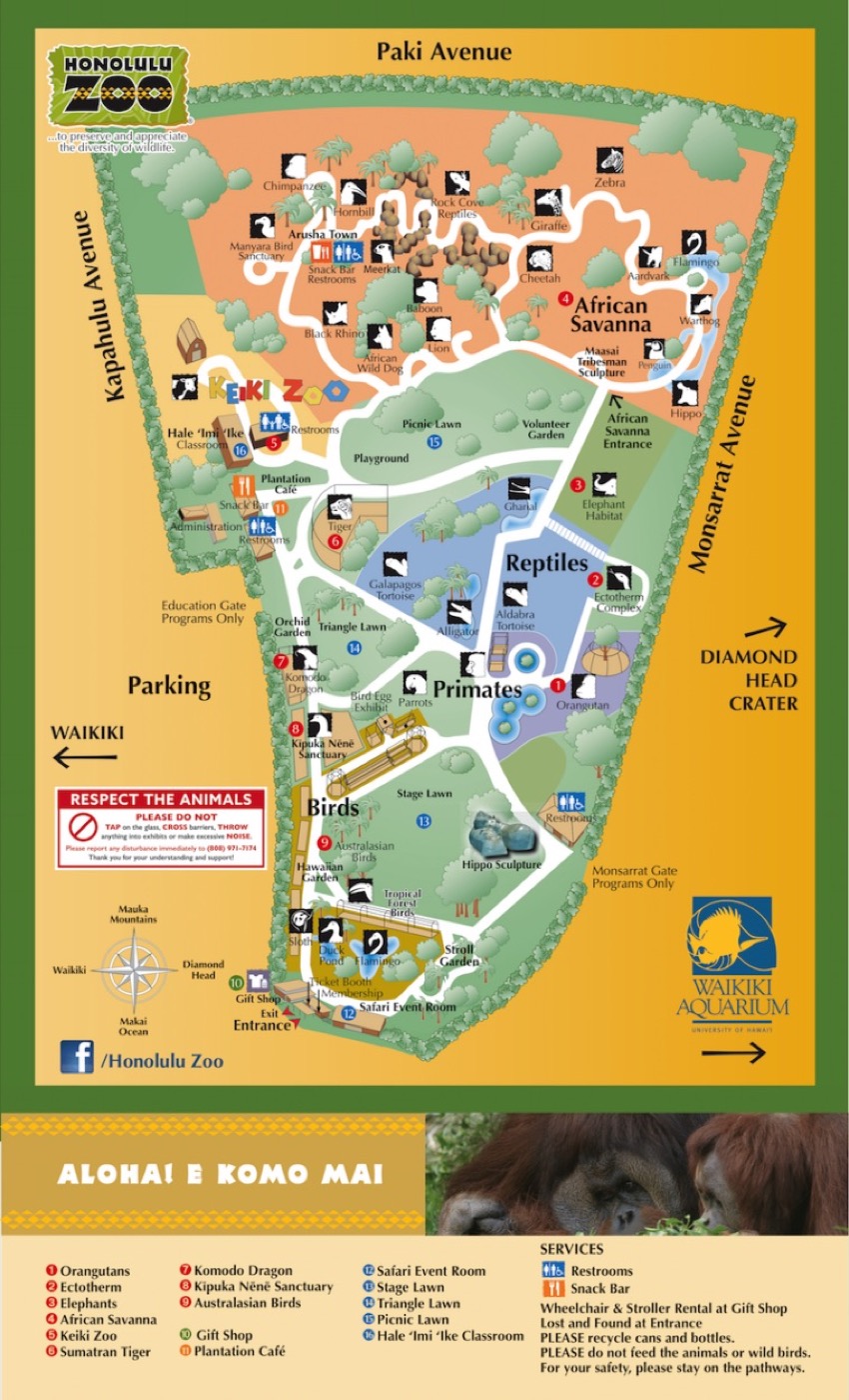 Visitor map preview