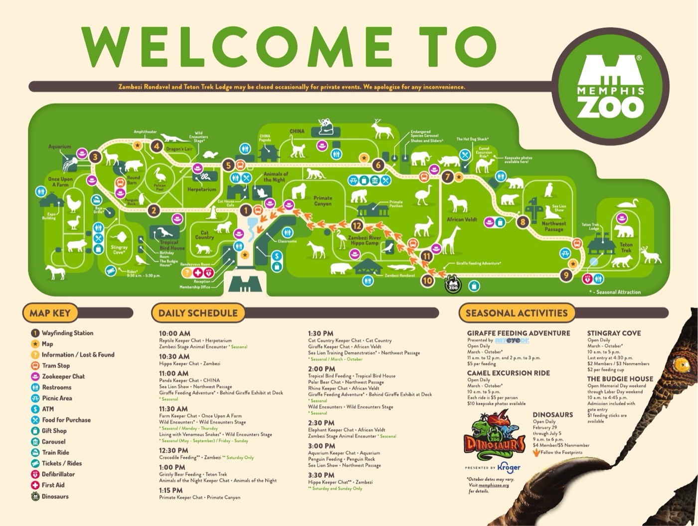 Visitor map preview