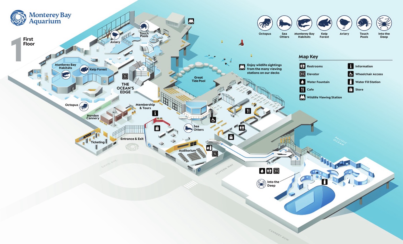 Visitor map preview