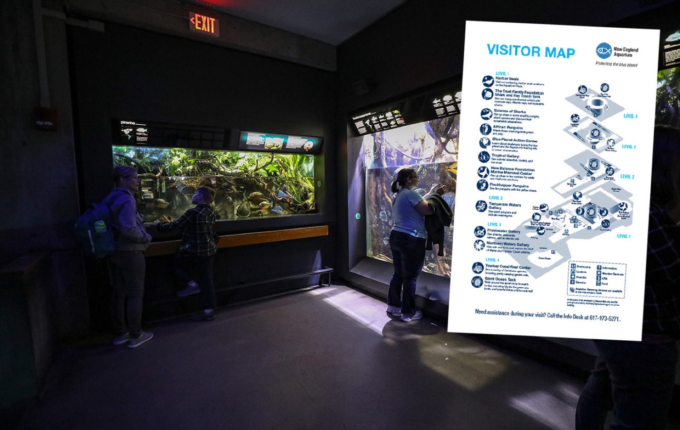Visitor map preview