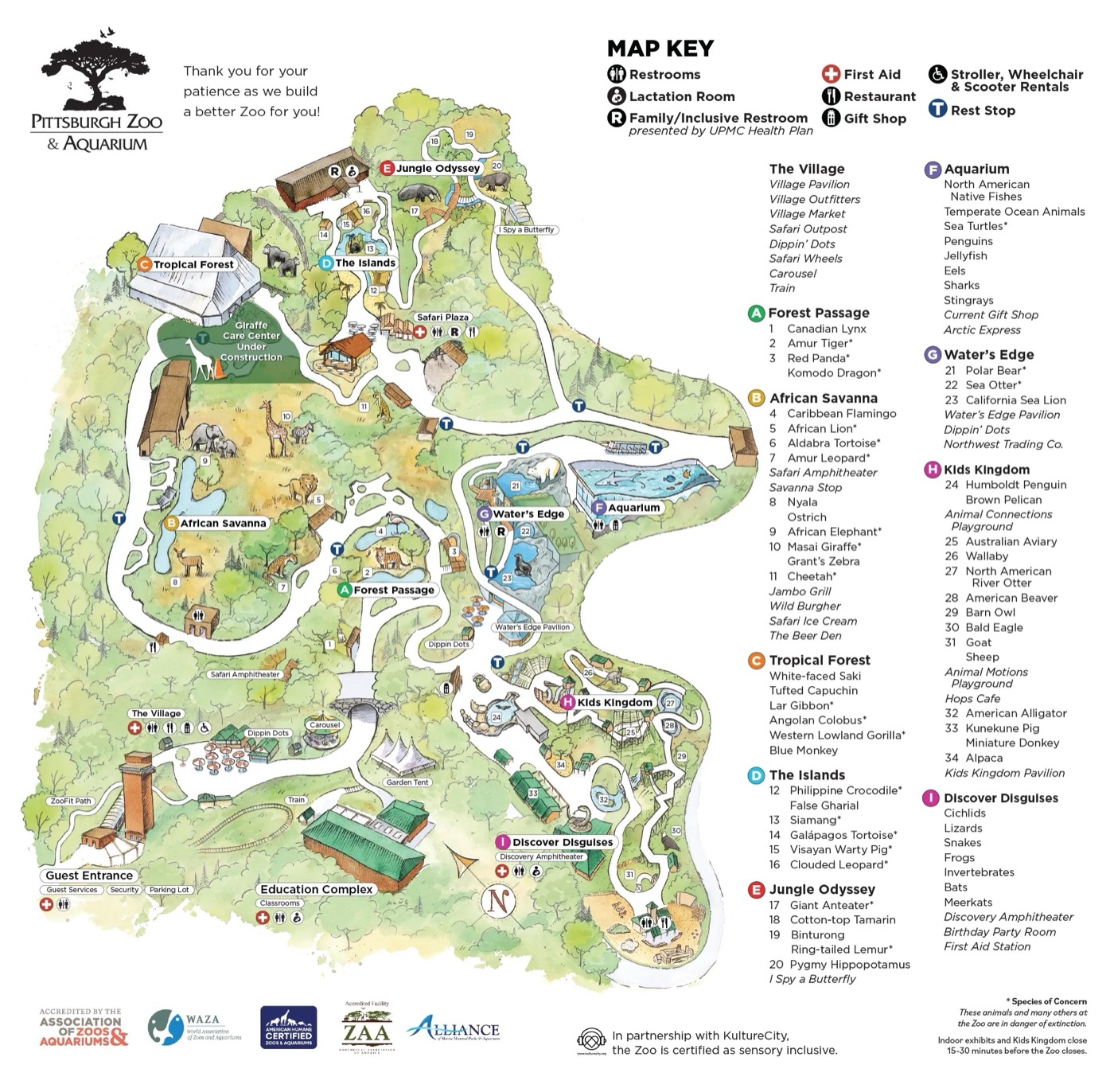 Visitor map preview