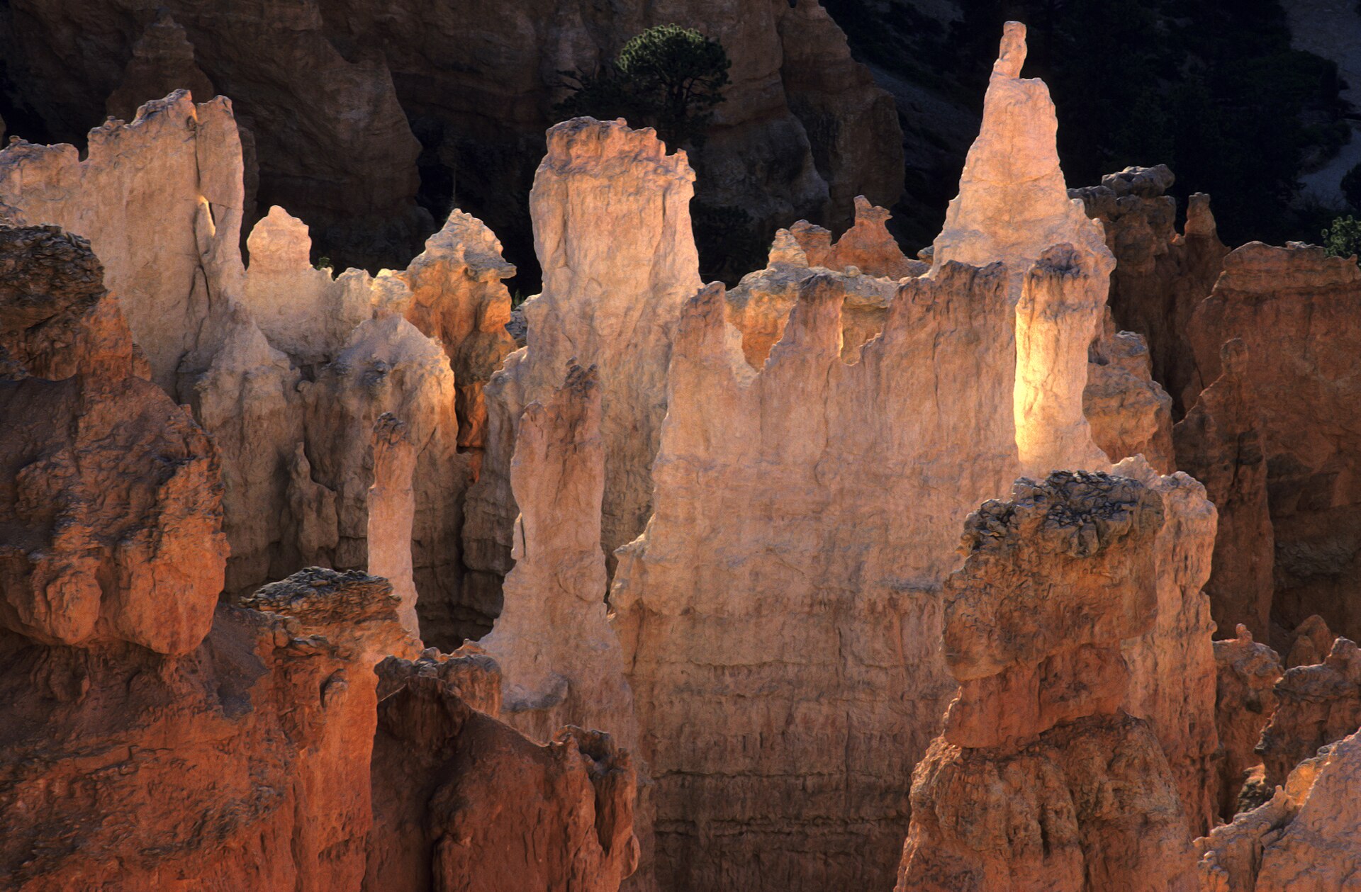 Bryce Canyon National Park park day