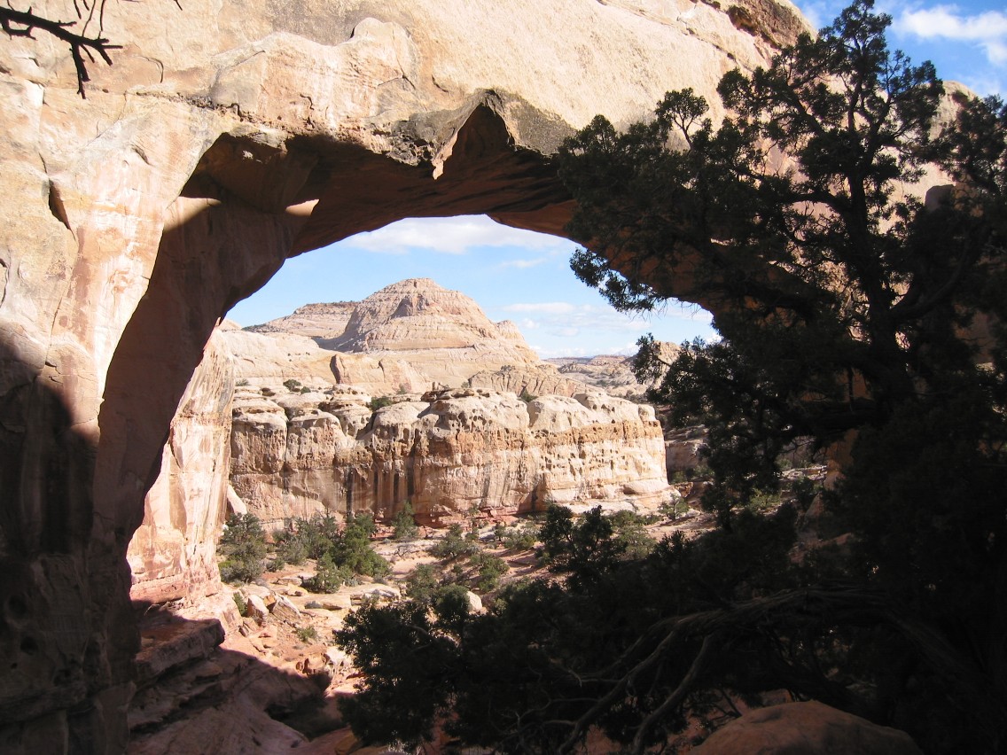 Capitol Reef National Park park day