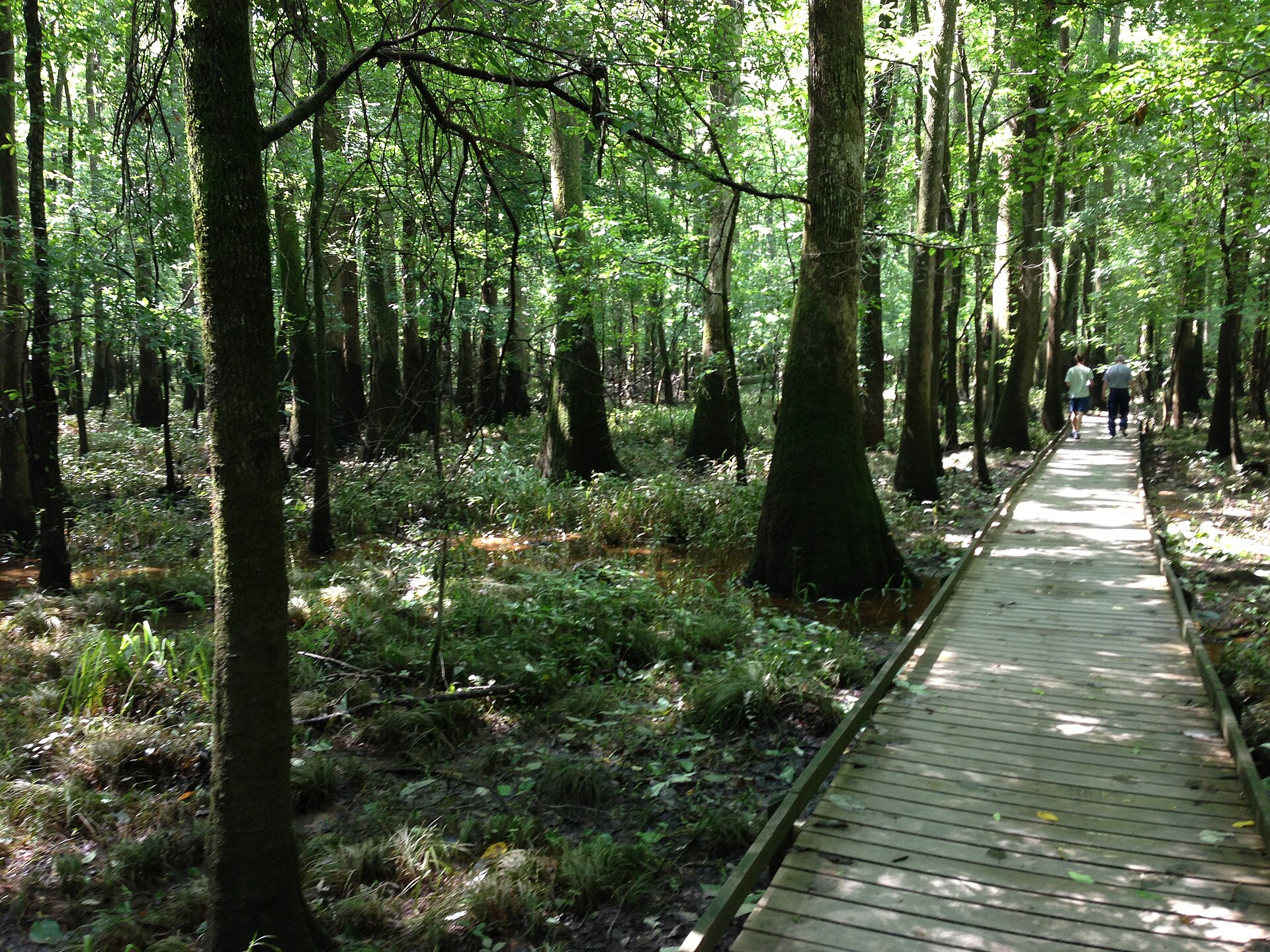 Congaree National Park park day
