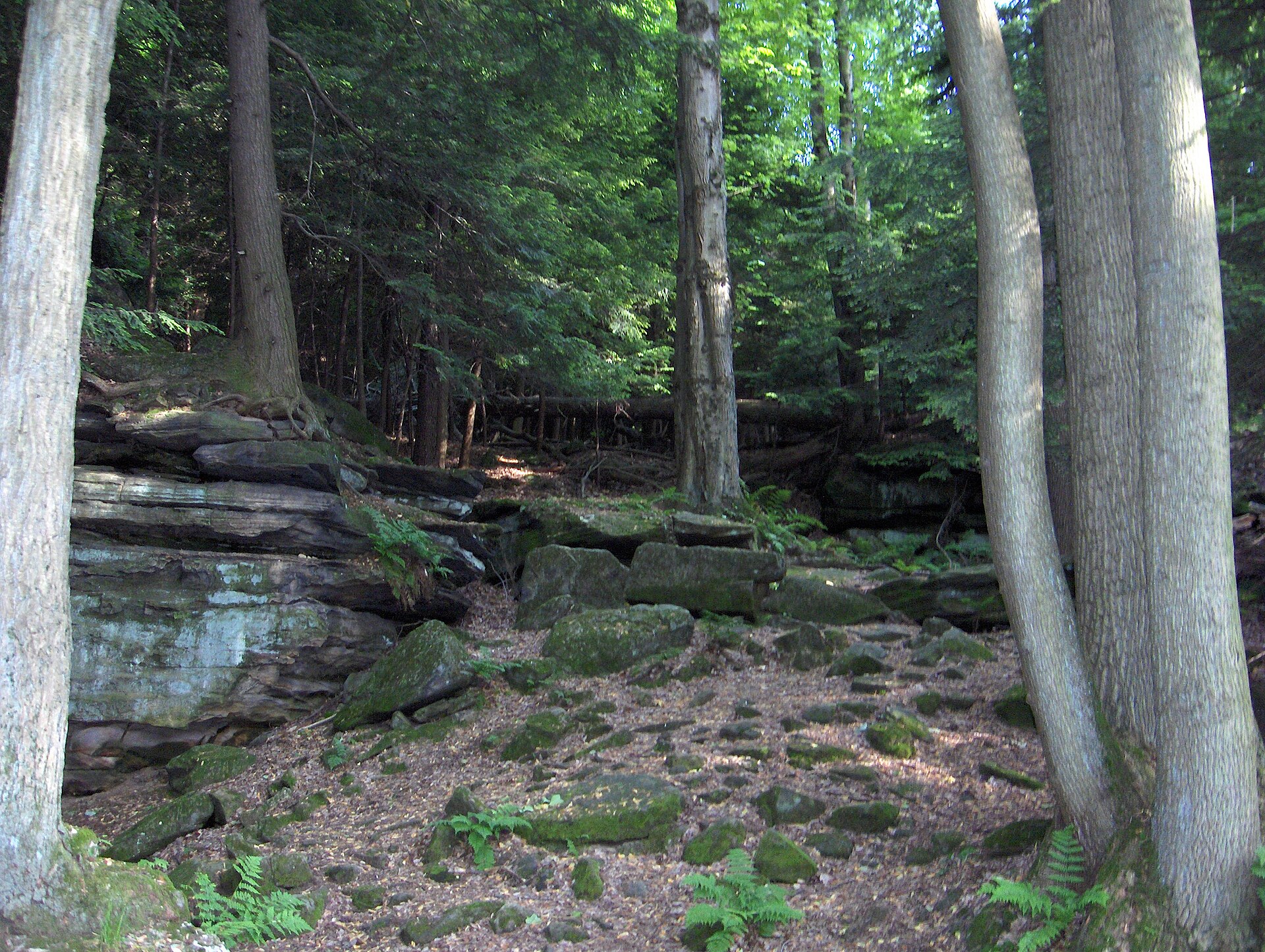 Cuyahoga Valley National Park park day