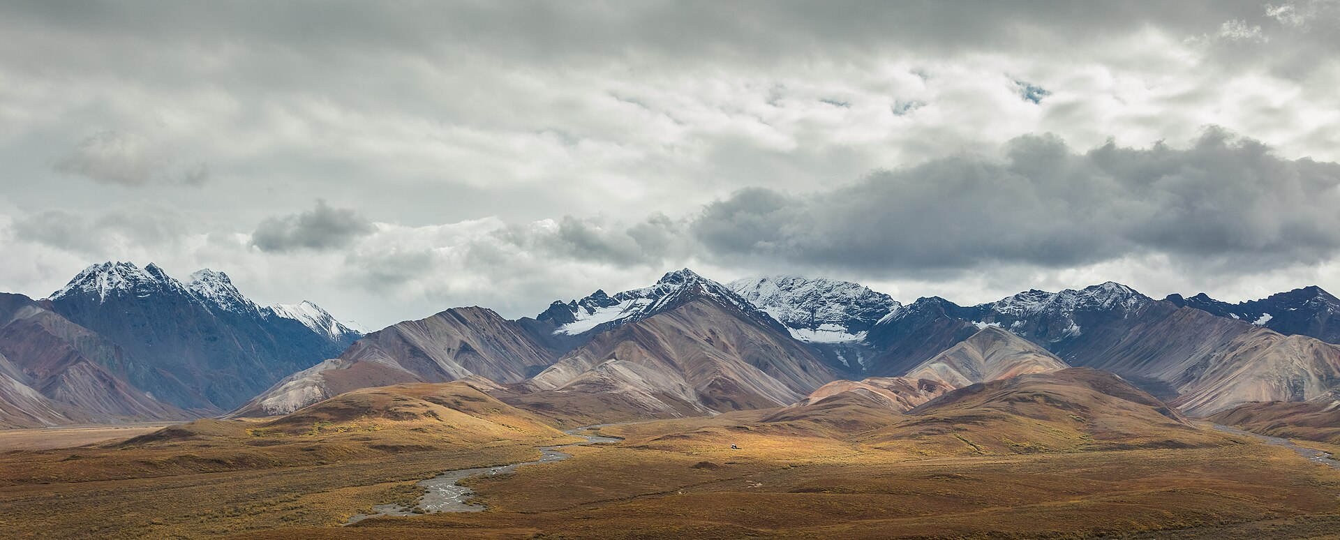 Denali National Park park day