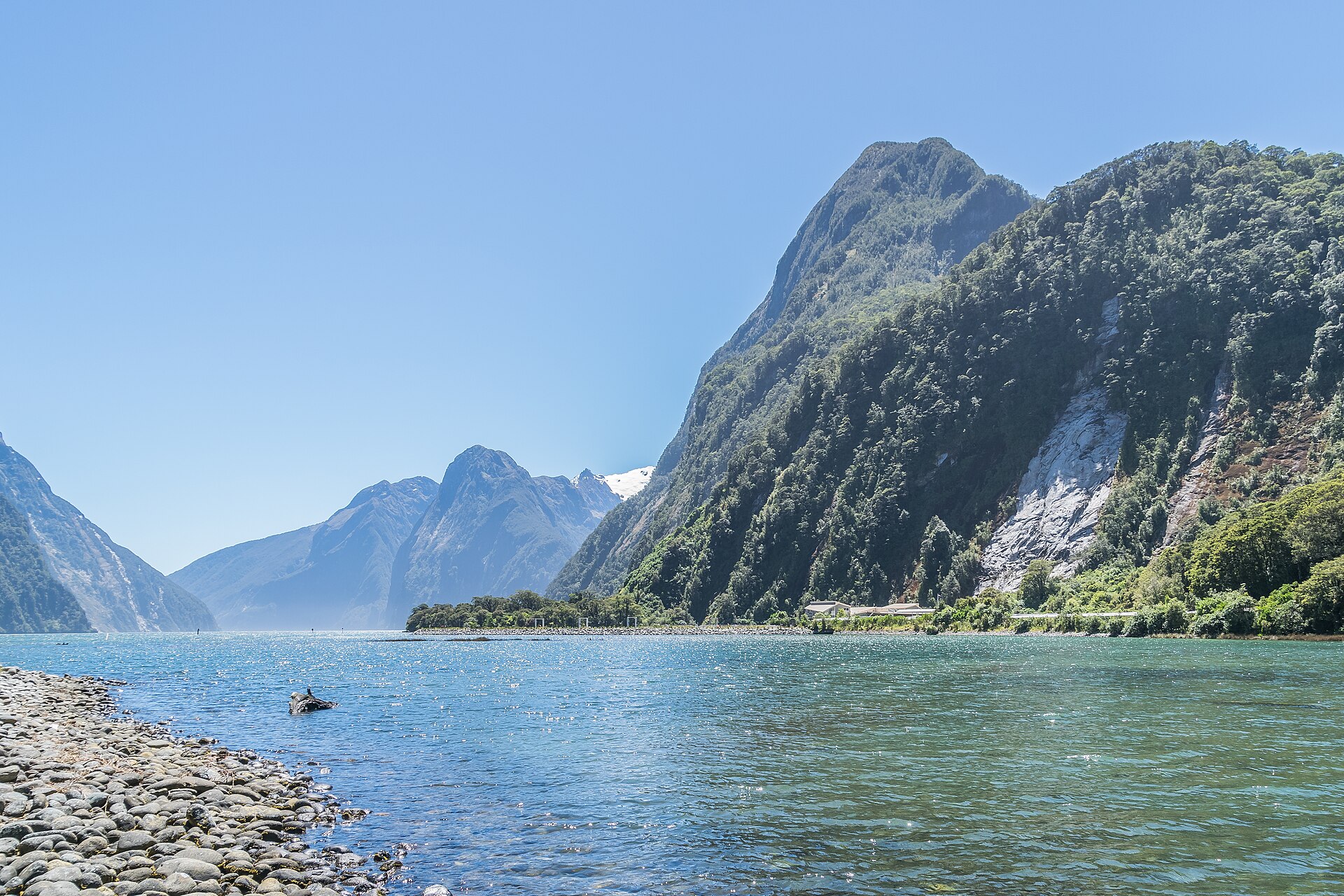 Fiordland National Park park day