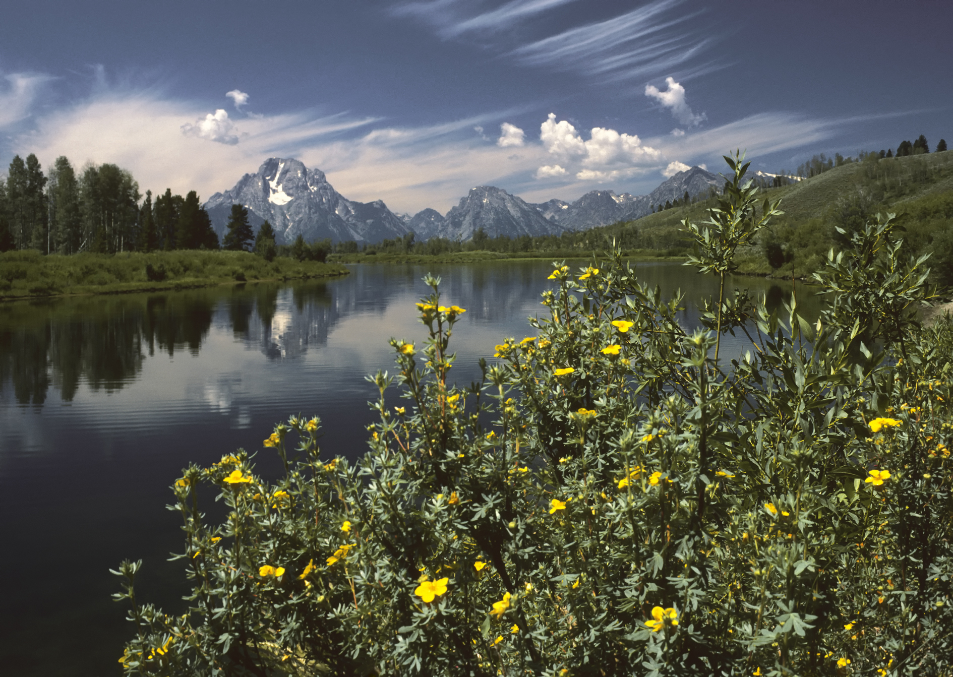 Grand Teton National Park park day