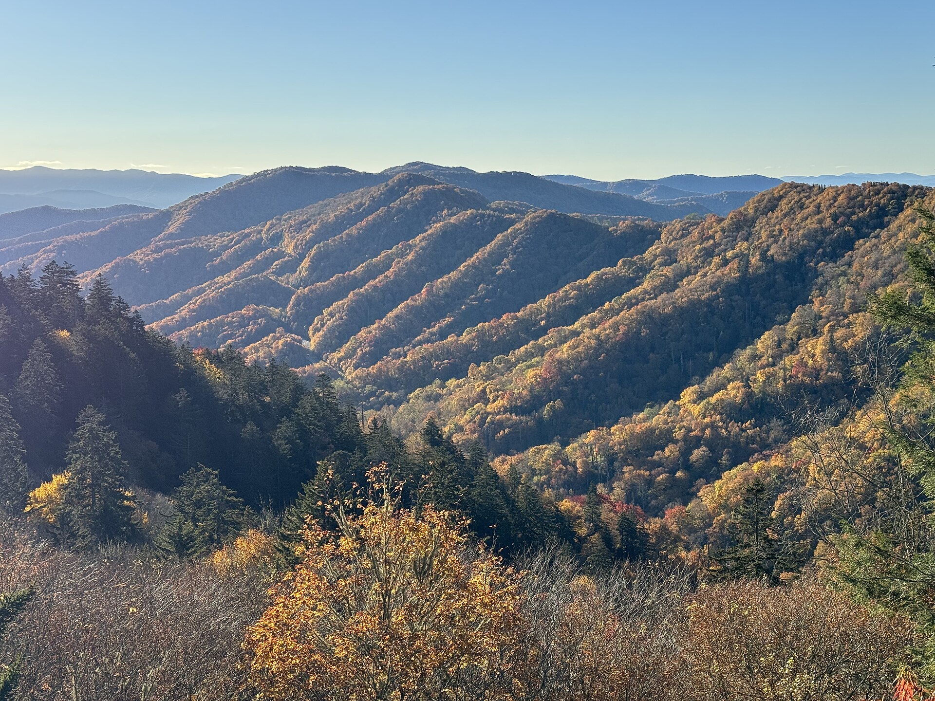 Great Smoky Mountains National Park park day