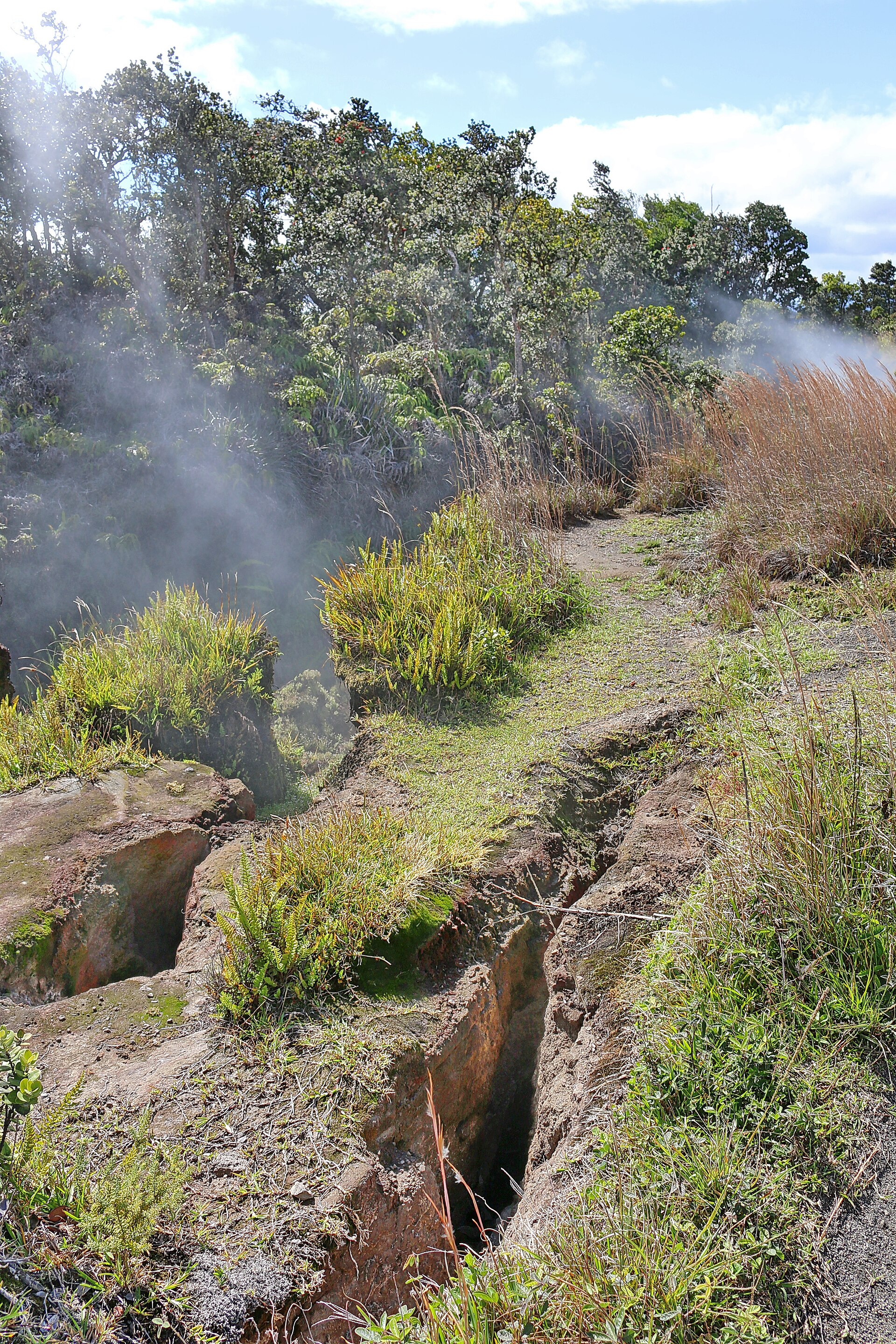 Hawaiʻi Volcanoes National Park park day