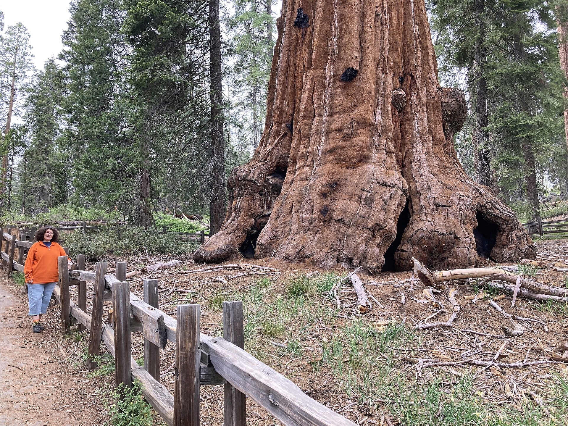 Kings Canyon National Park park day