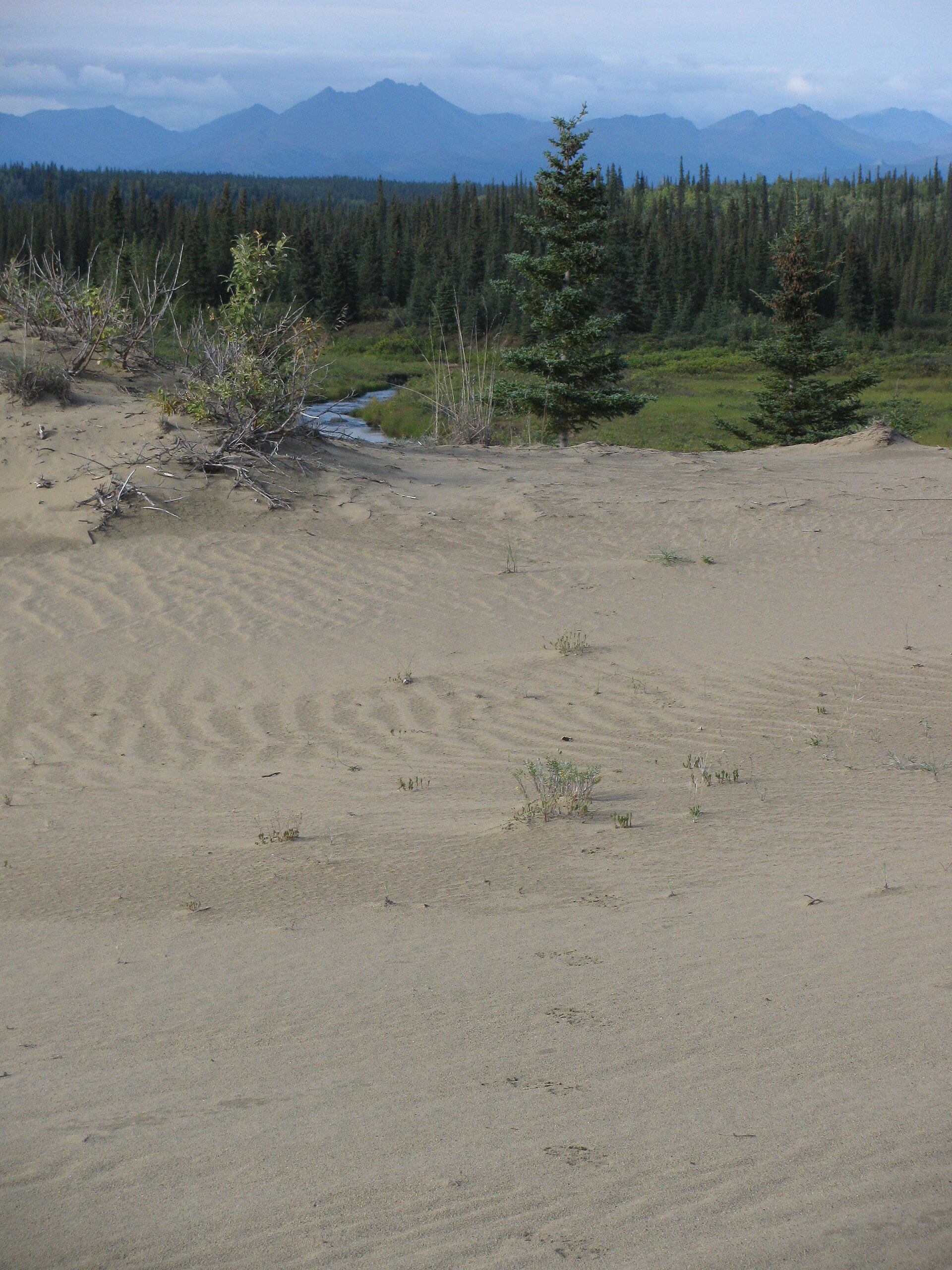Kobuk Valley National Park park day