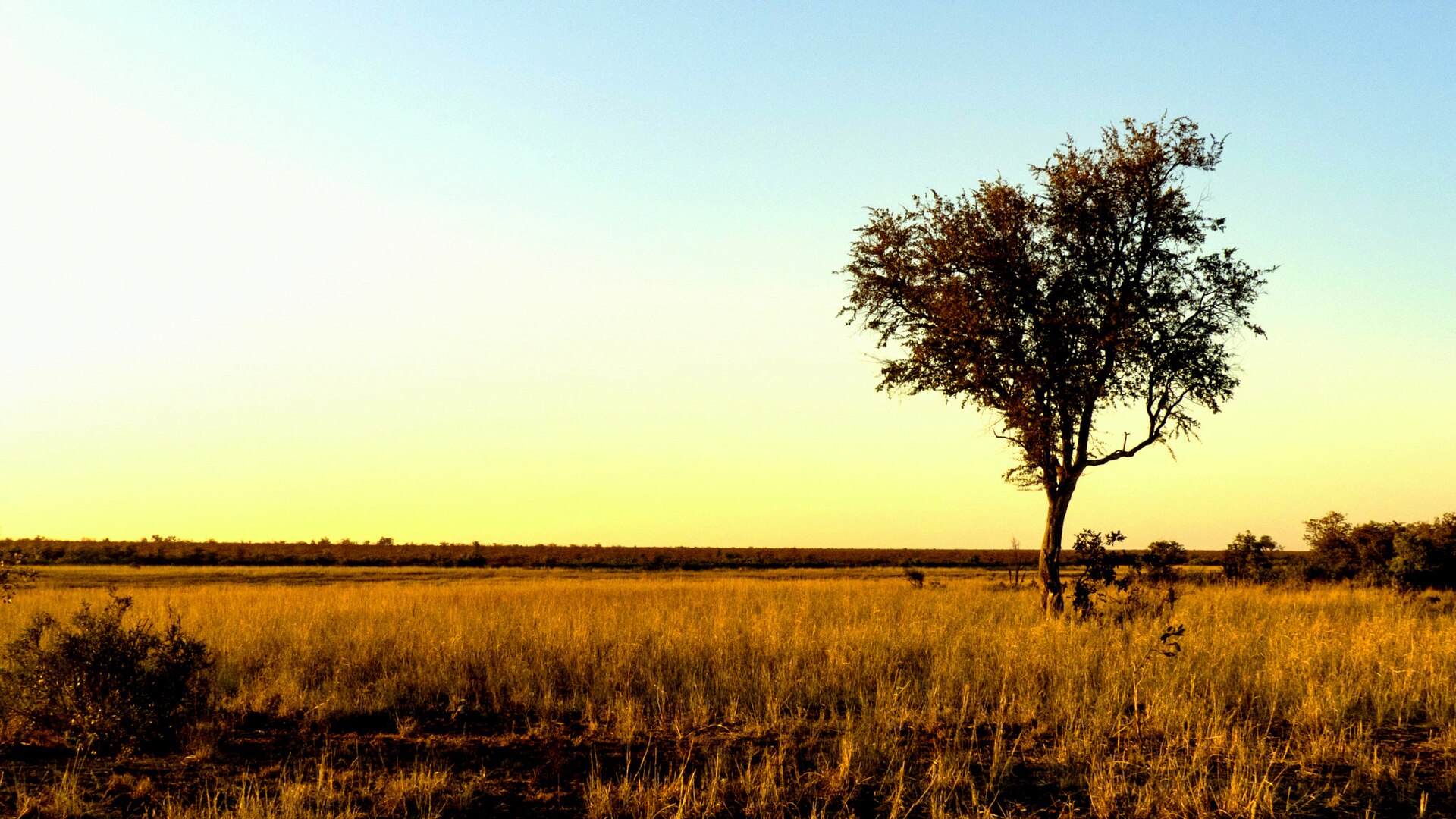 Kruger National Park park day