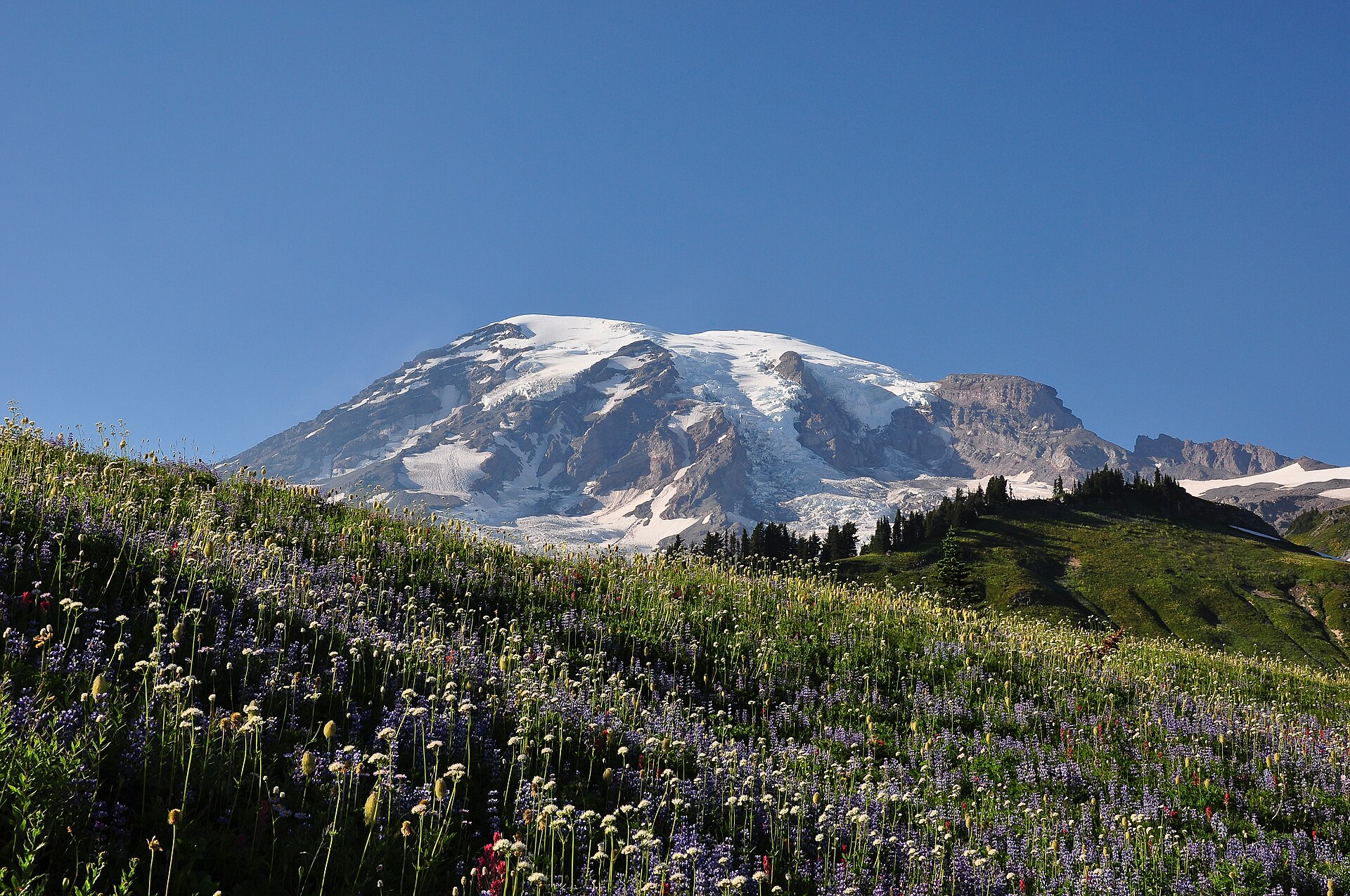 Mount Rainier National Park park day