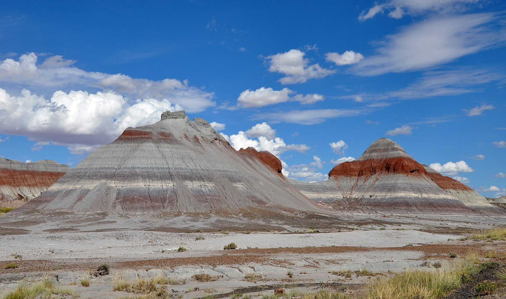 Petrified Forest National Park park day