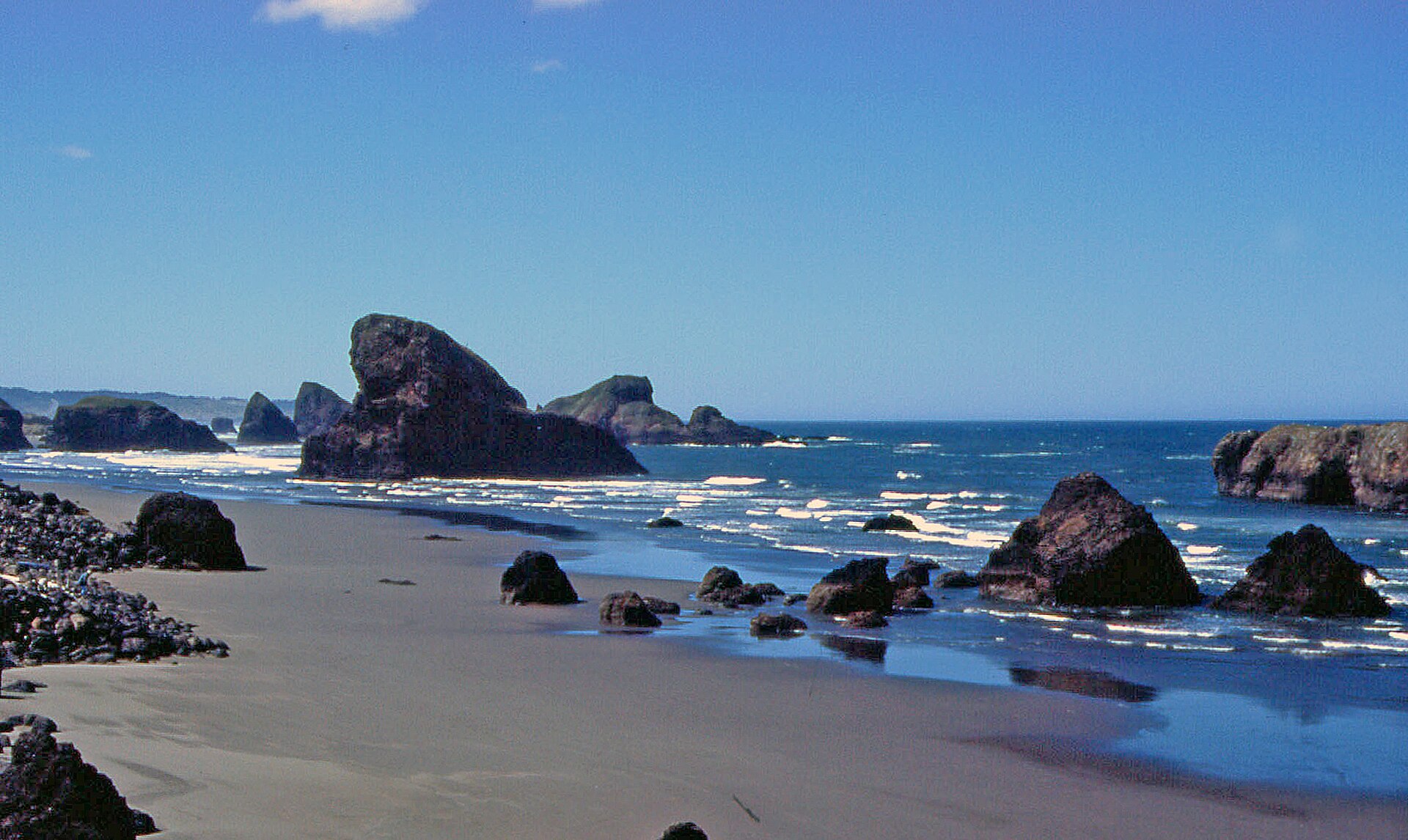 Redwood National and State Parks park day