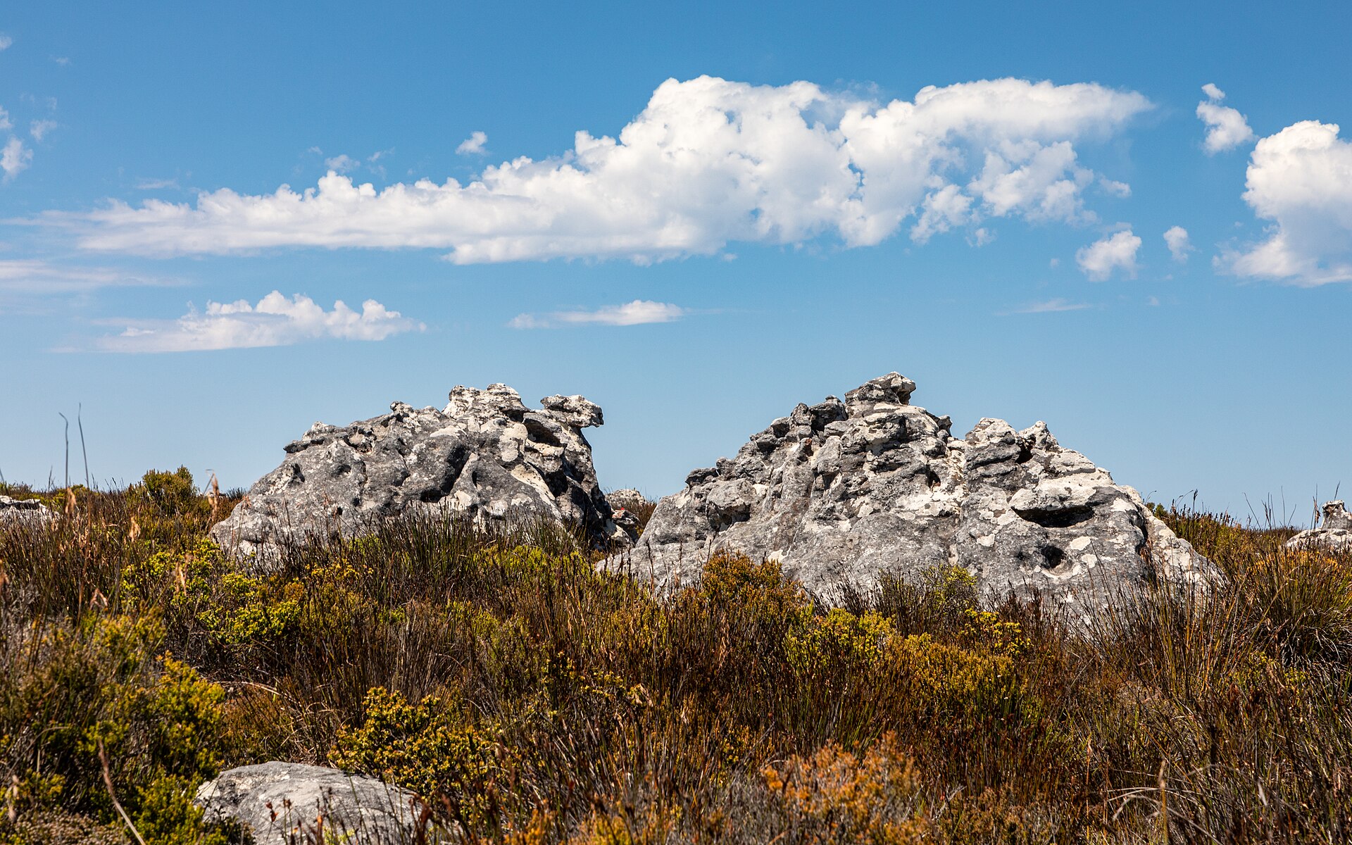 Table Mountain National Park park day