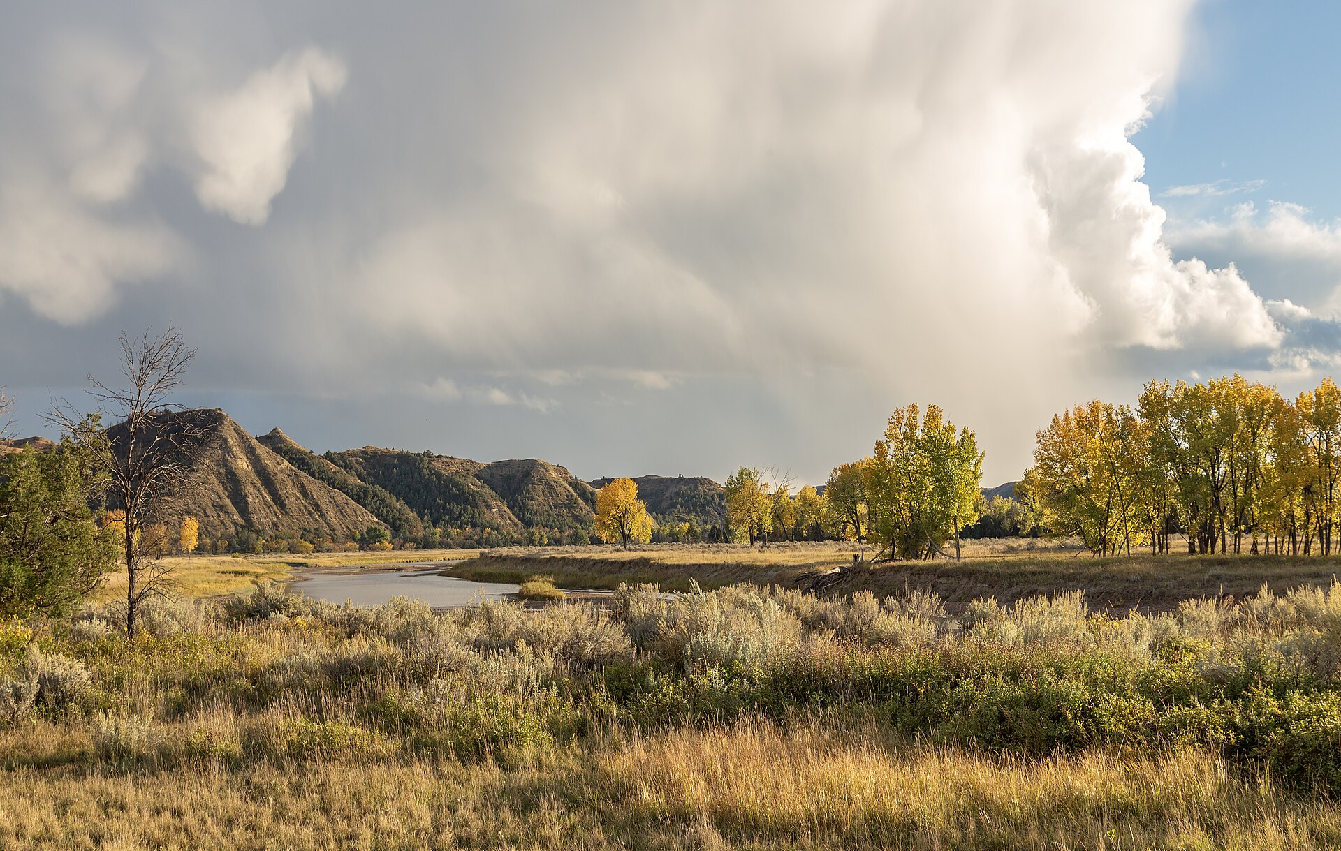Theodore Roosevelt National Park park day