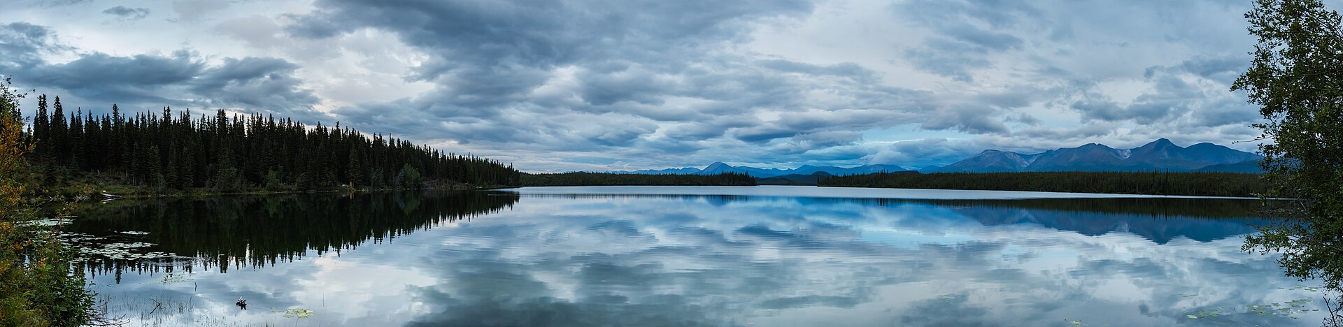 Wrangell–St. Elias National Park park day