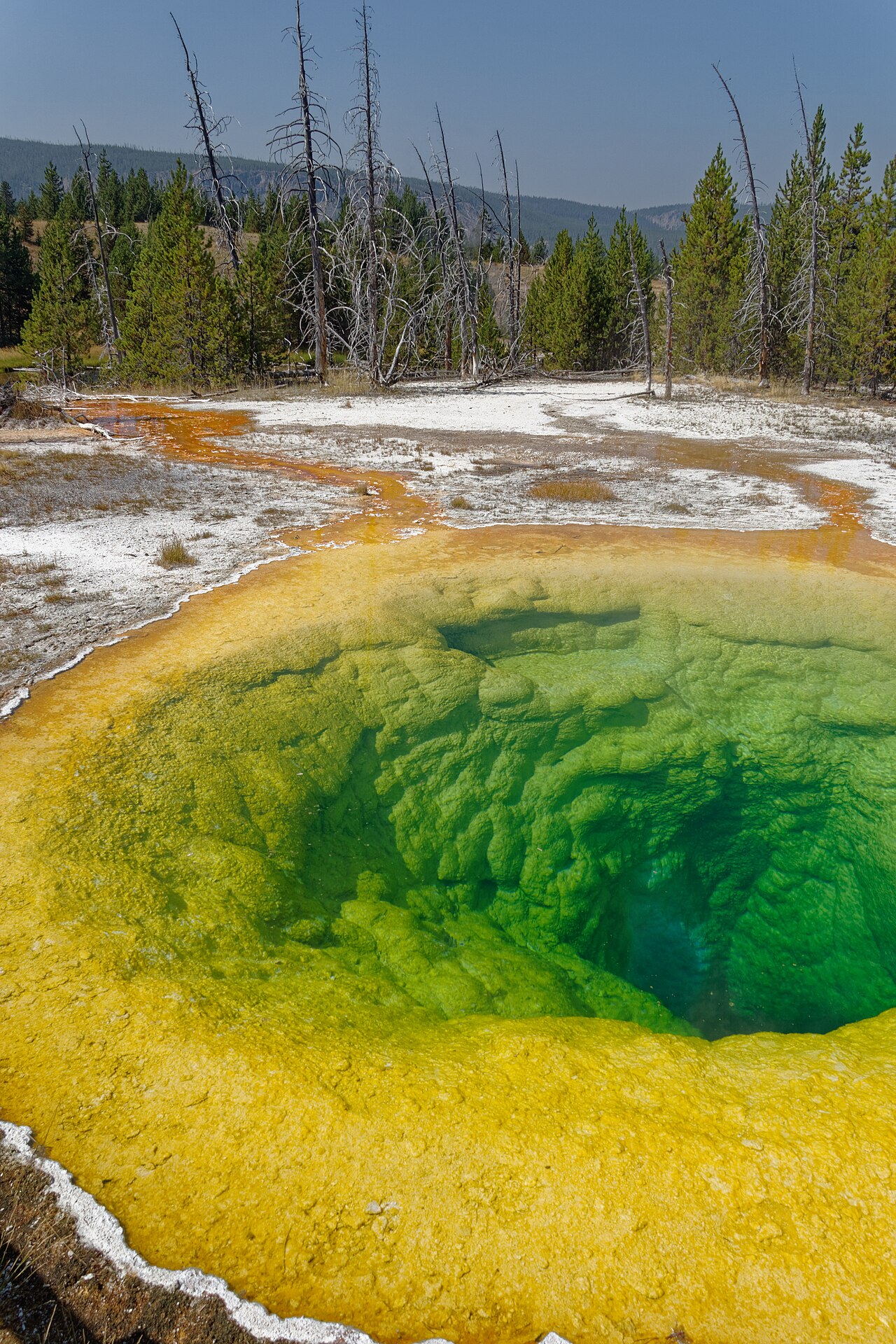 Morning Glory Pool — shortlist photo